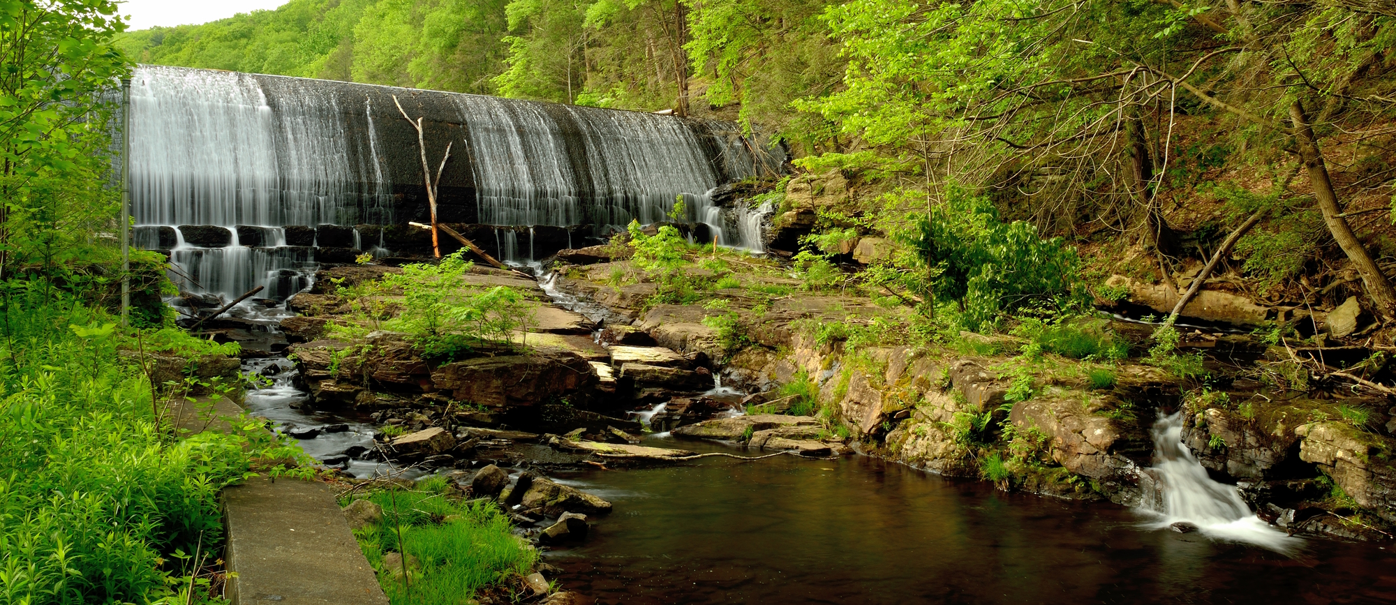 Stafford Meadow Brook Reservoir